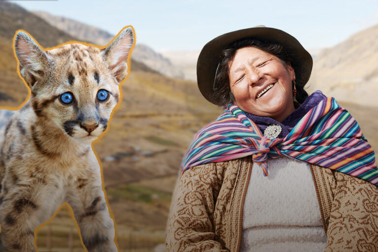 Women secure a future with pumas in the Andes