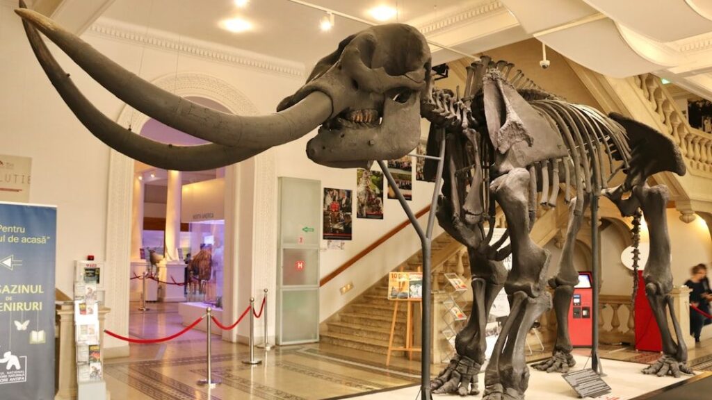 The Unseen Predators: What Roamed New England Before the Ice Age