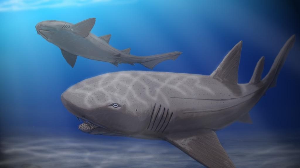 10 Craziest Prehistoric Sharks
