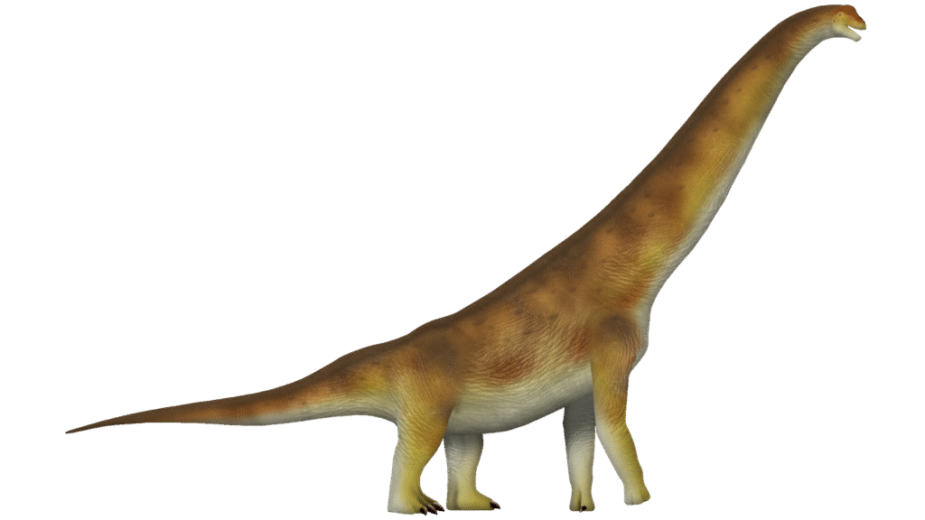 The Secret Lives of Sauropods: Beyond Their Towering Stature