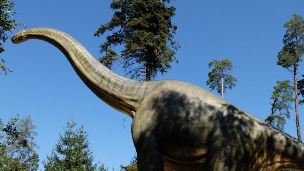 10 Signs You Possess the Unshakeable Calm of a Brachiosaurus