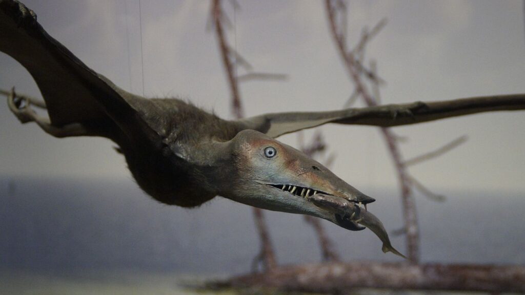 How Did Pterosaurs Master Flight? The Aerodynamic Secrets of Prehistoric Skies