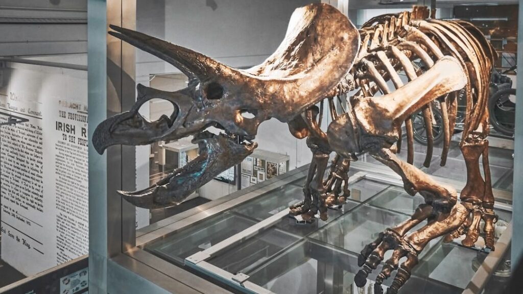 9 Unsolved Mysteries of Dinosaur Anatomy That Still Puzzle Paleontologists