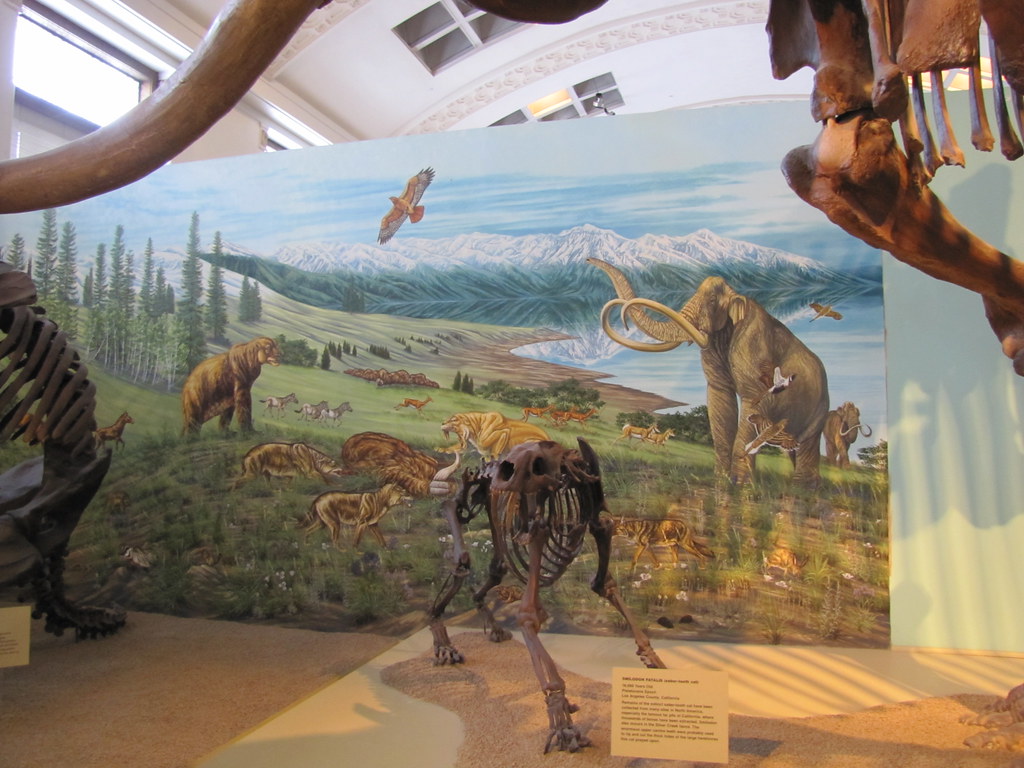 America's Ancient Forests Were Home to Unexpected Giant Creatures