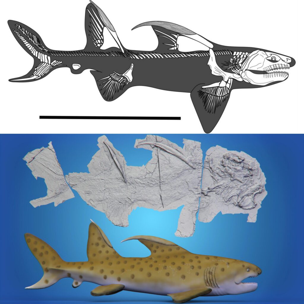 Why This Discovery Matters Today 