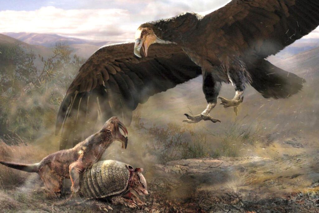Prehistoric Birds Flew with Wingspans Wider Than Small Planes