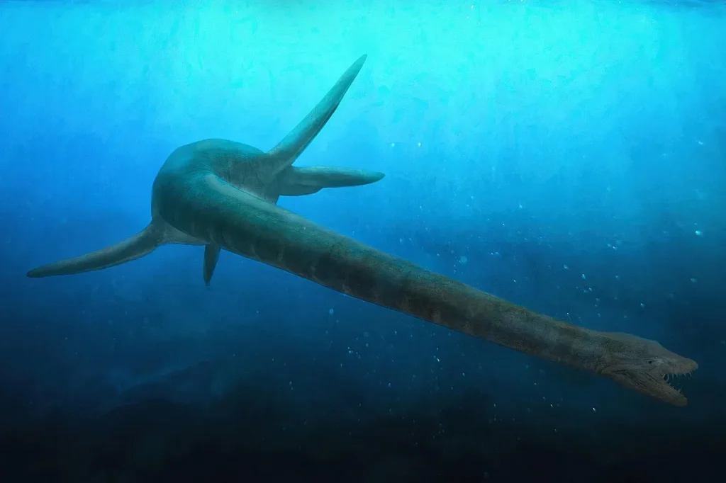 Could Ancient Marine Reptiles Still Exist in Deep Ocean Trenches? A Look at Elusive Creatures