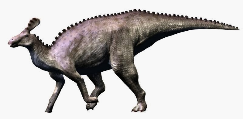 Tsintaosaurus: The Unicorn Dinosaur 