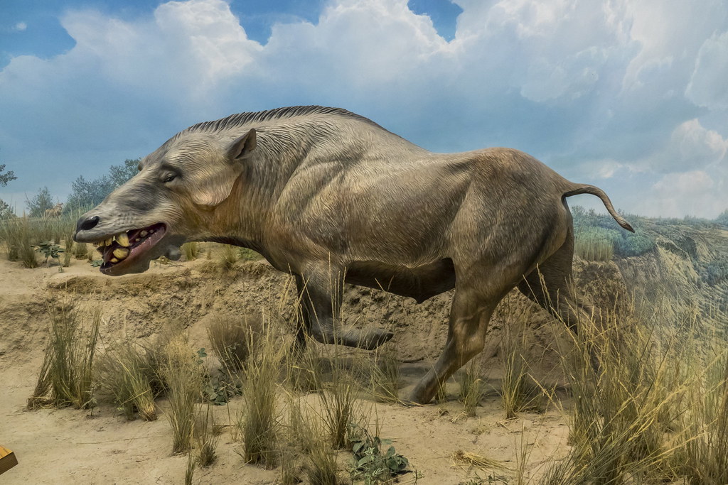 4 Prehistoric Beasts Fiercer Than Dinosaurs - From Saber-Toothed Killers to Mammoth Herds