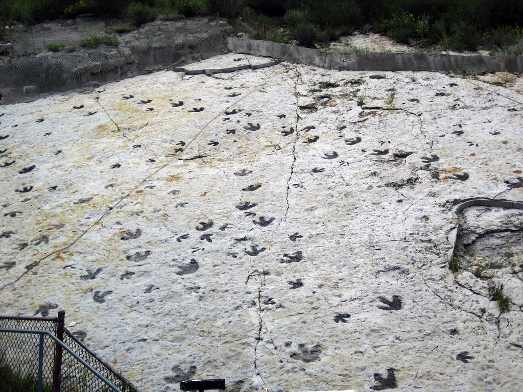 Trackways Tell Tales of Group Movement