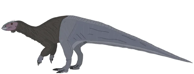 Iani Smithi: The Transitional Survivor 