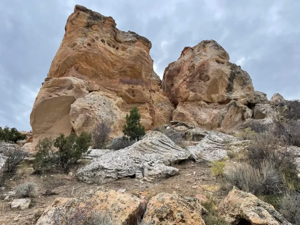 Archaeological Sites in the US Hold Untapped Secrets of Dinosaur Life