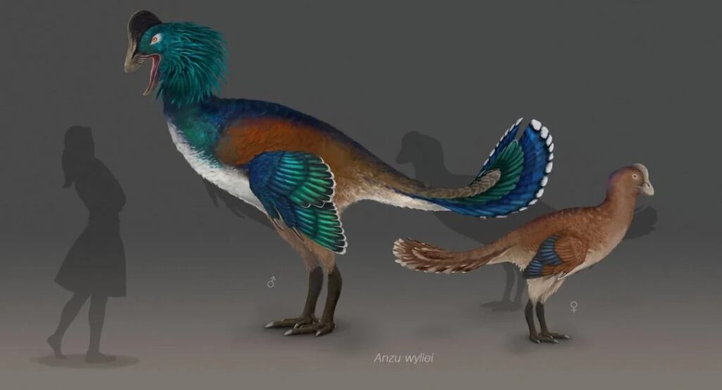 Anzu Wyliei: North America's Chicken from Hell 