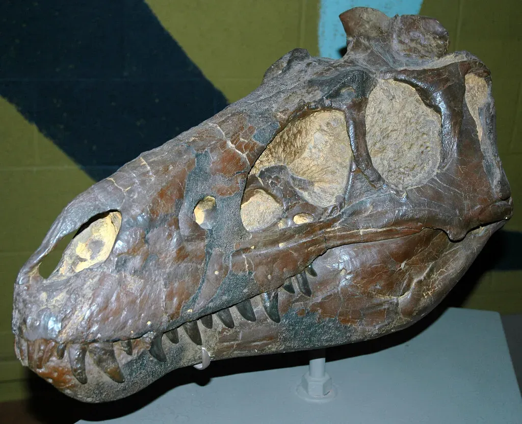 Advanced Imaging Reveals: Dinosaur Brains Were More Complex Than We Imagined