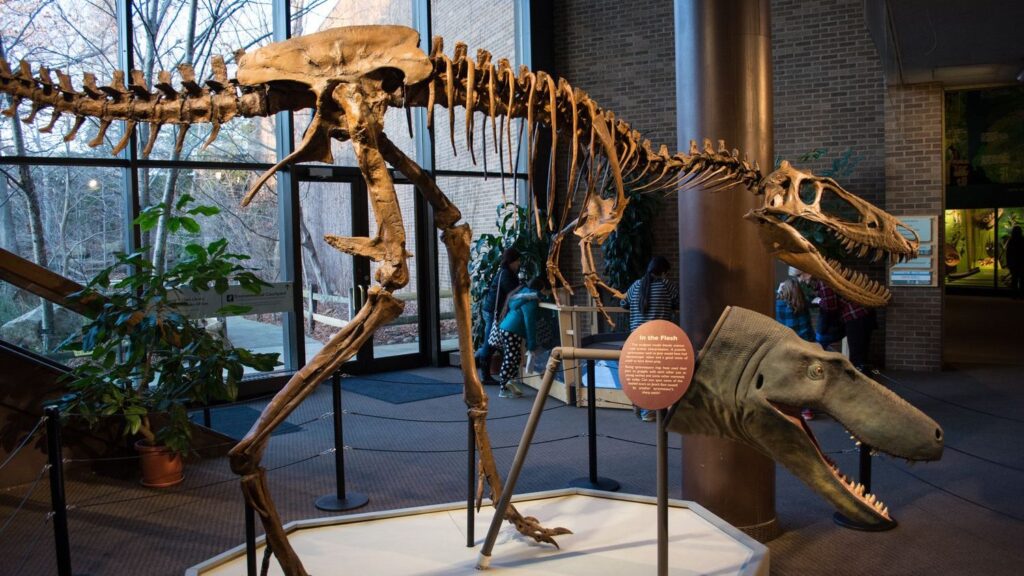 The 5 Most Unexpected Dinosaur Discoveries in North America