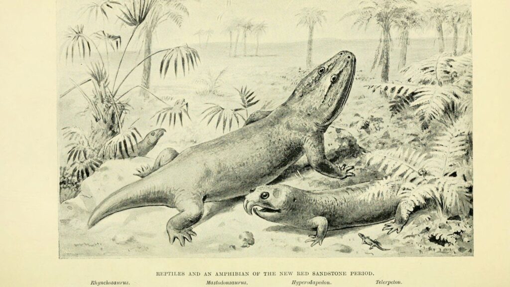 7 Incredible Prehistoric Creatures You Won't Believe Roamed Earth