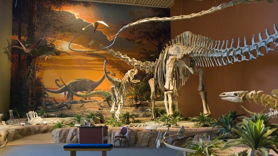 The American Southwest Holds Untold Stories of Dinosaur Dominion