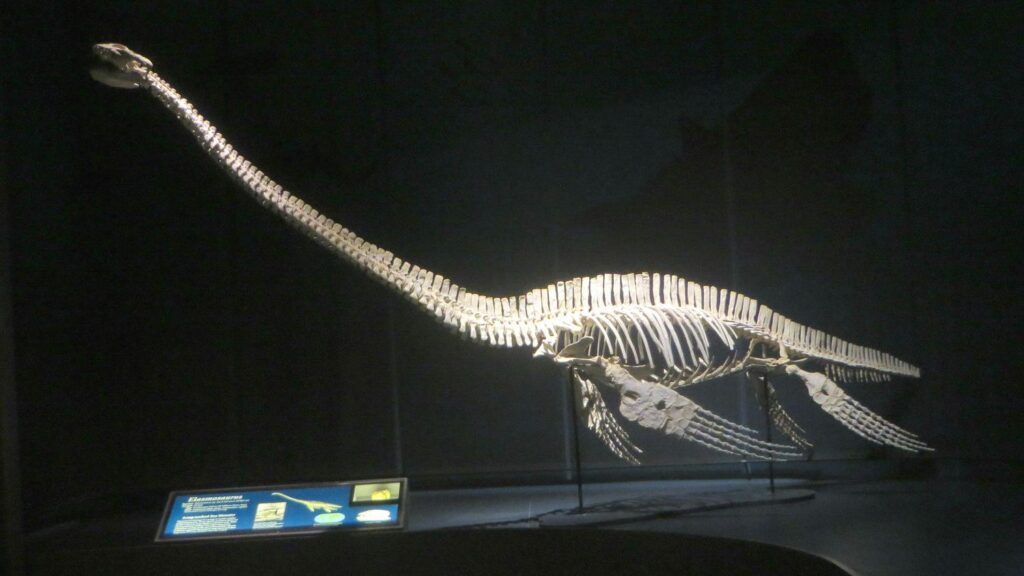 8 Unique Ancient Marine Reptiles That Dominated Prehistoric Oceans