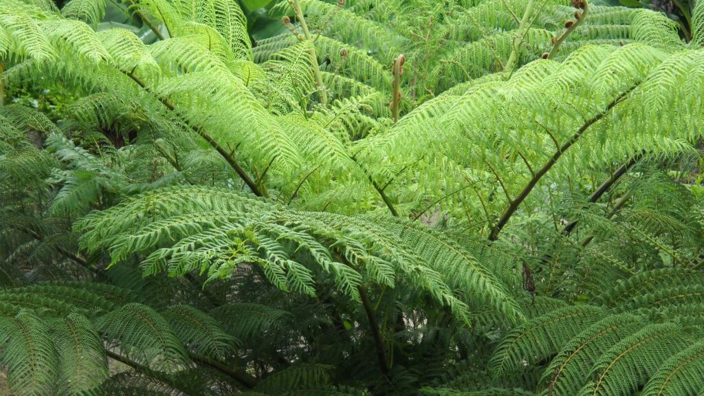 Uncovering the Unique Flora That Coexisted with Dinosaurs in America's Past