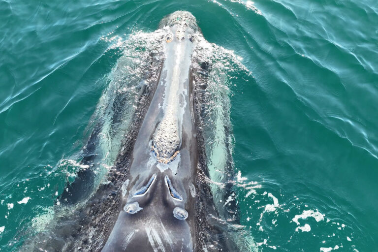 Division’s final journey