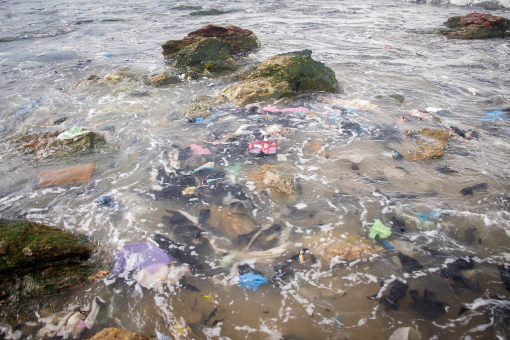 Clean Clothes Are Quietly Polluting Marine Life Worldwide, But There Are Many Solutions
