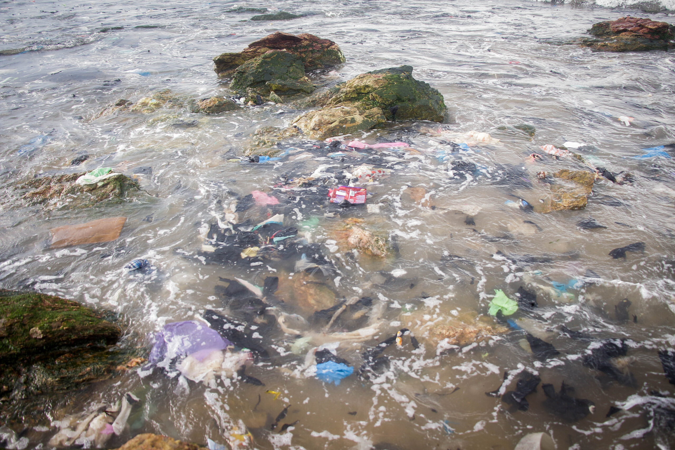 Clean Clothes Are Quietly Polluting Marine Life Worldwide, But There Are Many Solutions
