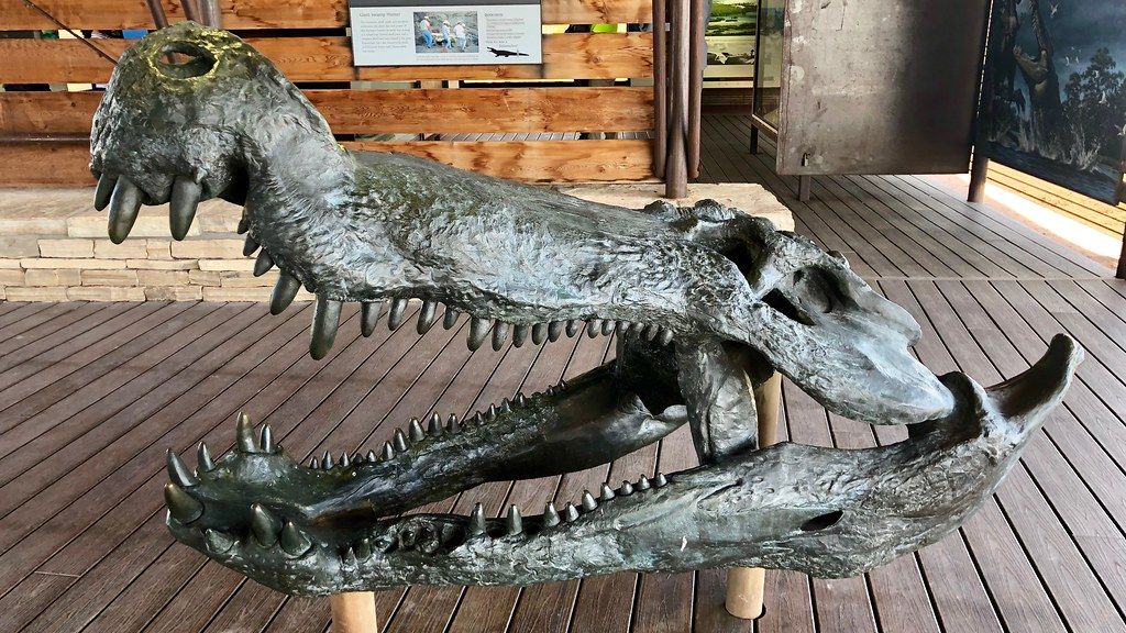 Ancient River Systems in the US Were Home to Gigantic Prehistoric Crocodilians