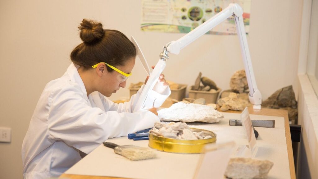 Unearthing the Truth: How Paleontologists Reconstruct Ancient Ecosystems