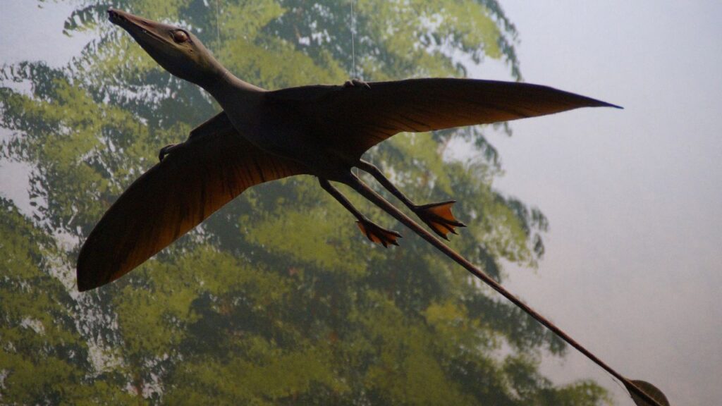 The True Reason Why Pterosaurs Ruled the Skies for Millions of Years
