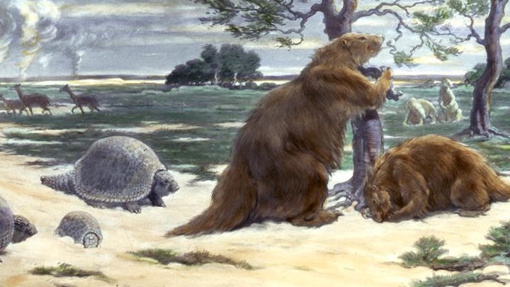 12 Unsung Heroes of the Prehistoric World You've Never Heard Of