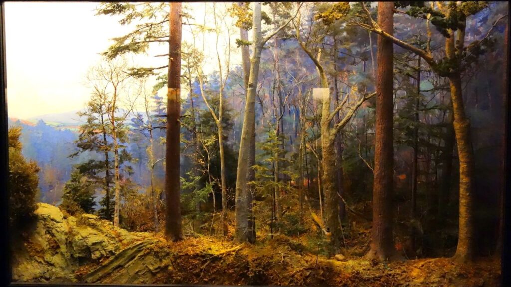 North America's Ancient Forests Were Unlike Anything We See Today