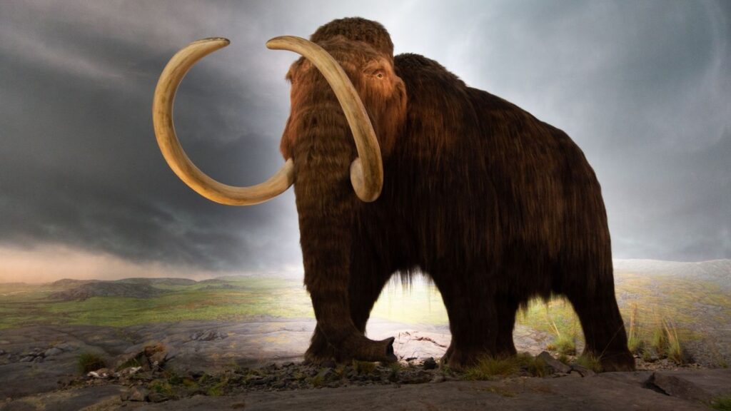The Last Mammoth Herds: A Glimpse into Their Final Days in North America