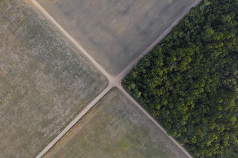 Amazon deforestation may rise 30% as major traders exit historic soy pact