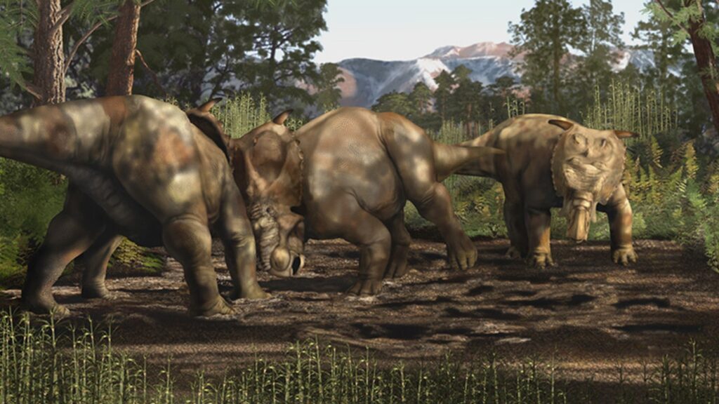 The Arctic Was Once a Subtropical Paradise Teeming with Dinosaurs