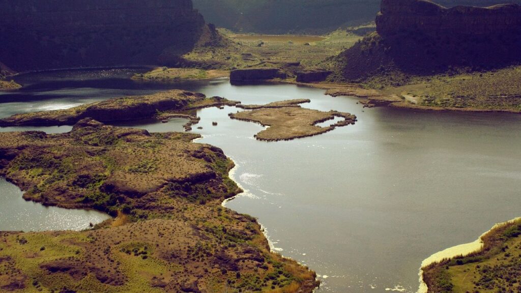 This Ancient River System Dictated the Migration of Prehistoric Beasts