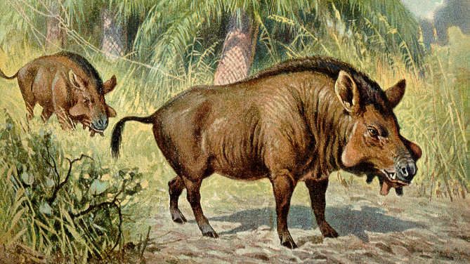 11 Prehistoric Mammals That Were Even More Terrifying Than Dinosaurs