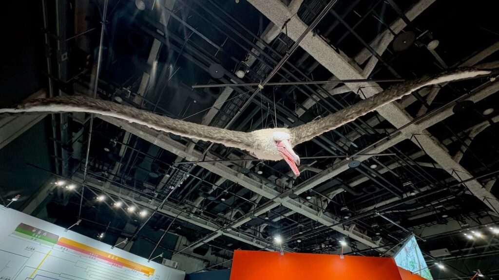 This Ancient Bird Had a Wingspan the Size of a Small Airplane