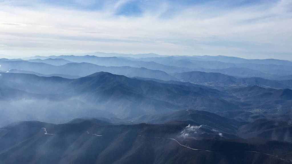 The Appalachian Mountains Hold Secrets to Earth's Oldest Ecosystems