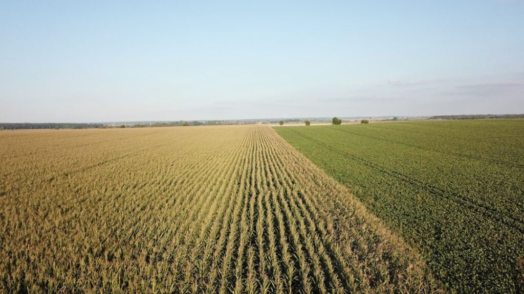 The Untold Story of North America's First Farmers and Their Innovations