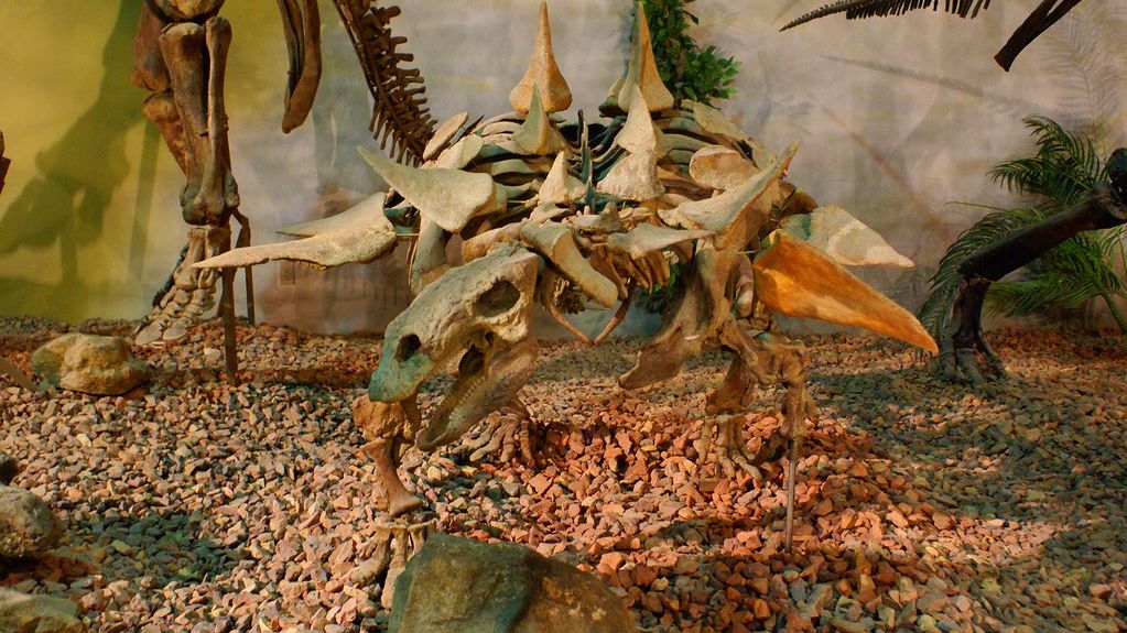 The Fossil Beds of Wyoming: A Window into the Age of Giants