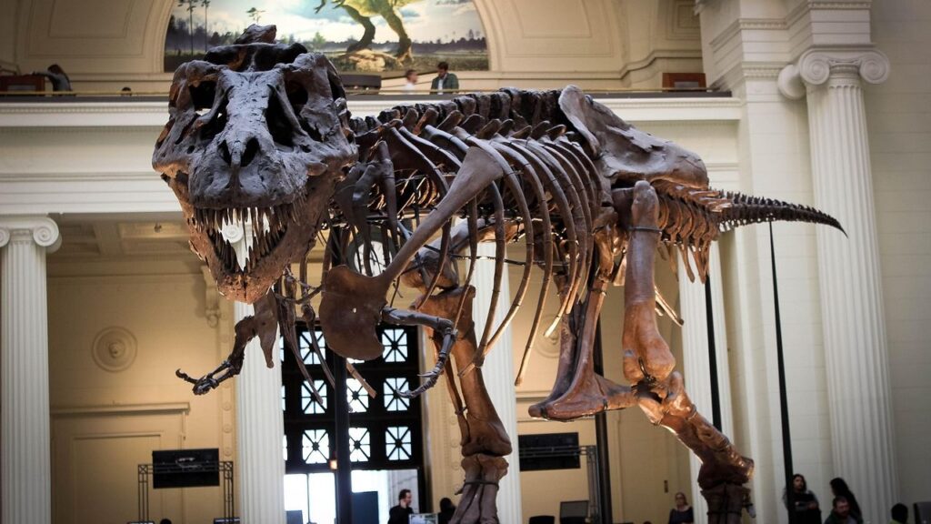 Tyrannosaurus Rex Had a Surprising Secret Weapon Beyond Its Jaws