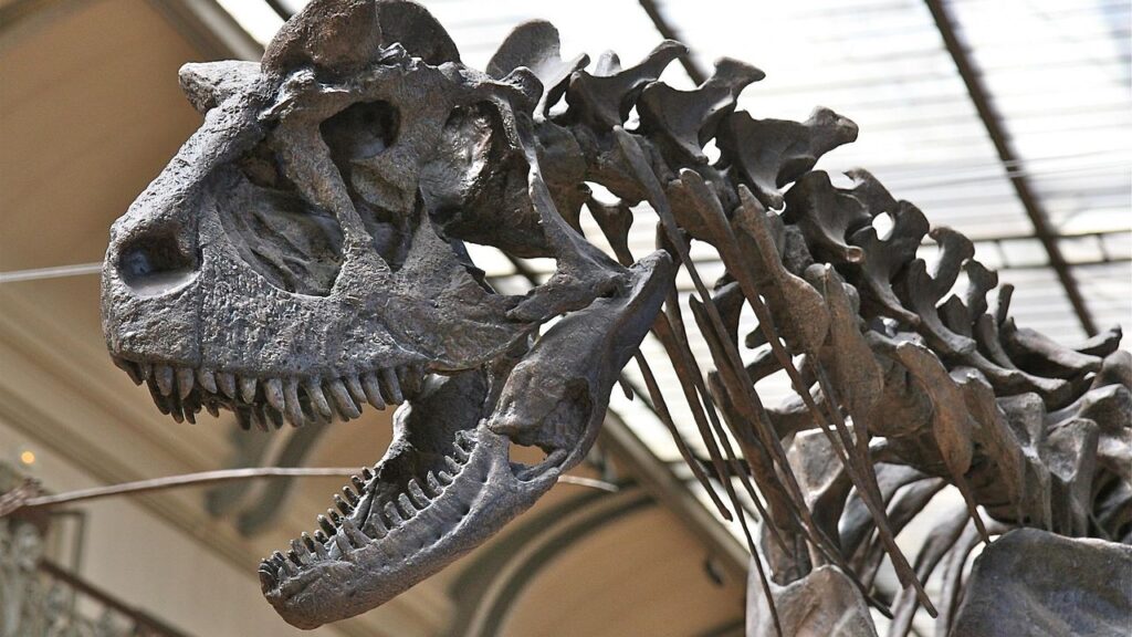 9 Common Dinosaur Myths That Modern Paleontology Has Finally Debunked