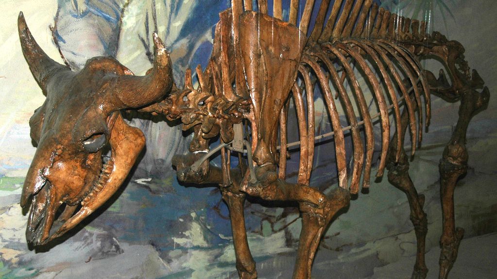 America's Ancient Giants: Unearthing Prehistoric Beasts of the US