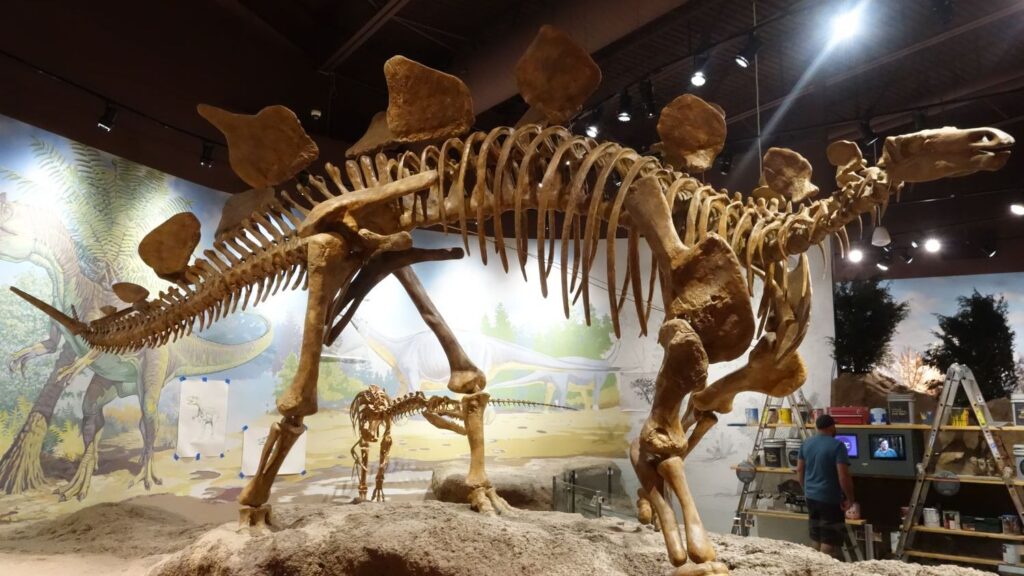 The Stegosaurus's Spikes: More Than Just Defense?