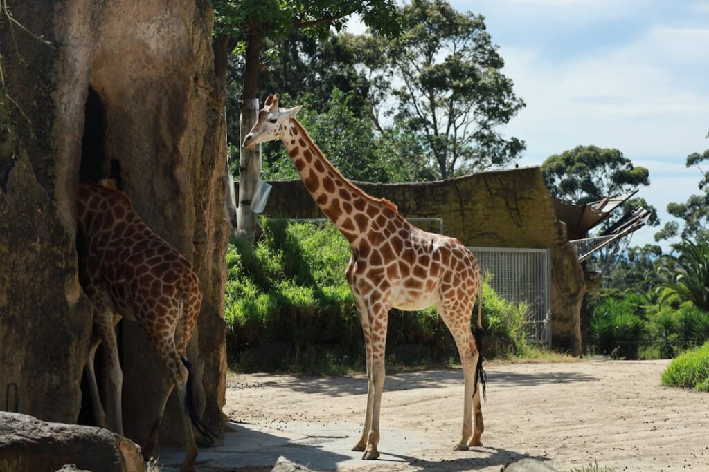 Reaching 4,500 Young People Through DSWF’s UK Wildlife Education Programme