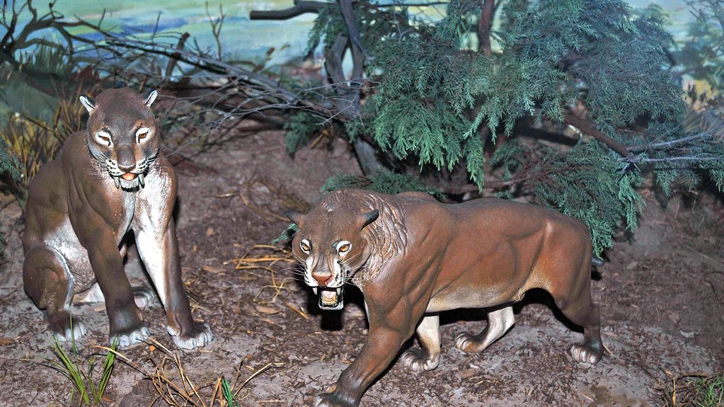 5 Prehistoric Predators That Hunted America's Ancient Landscapes
