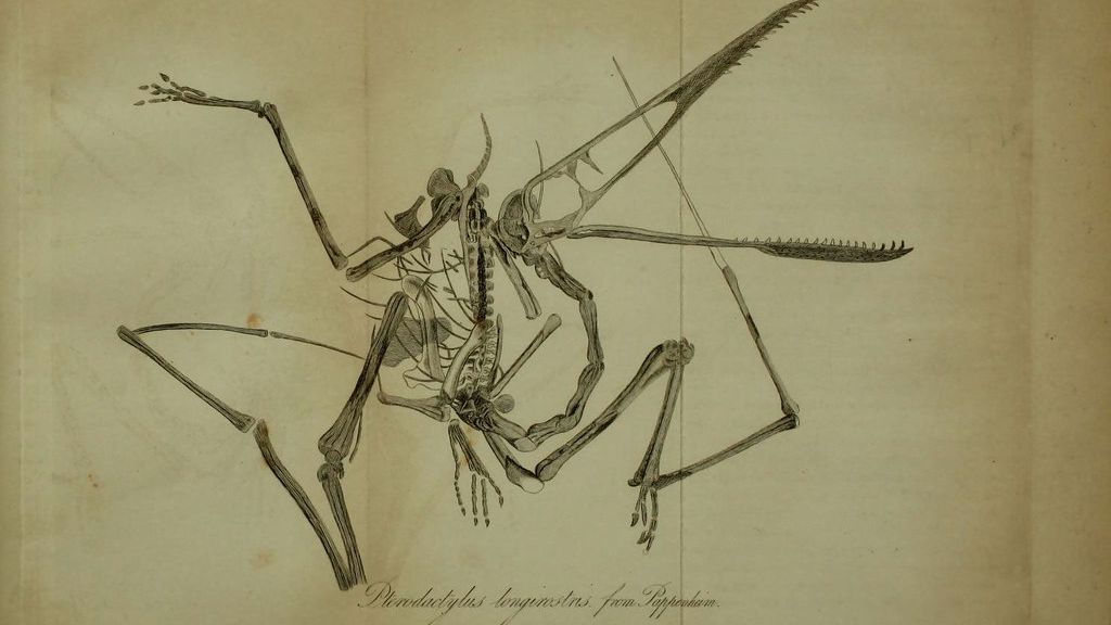 5 Fascinating Prehistoric Creatures Discovered In America's Backyard