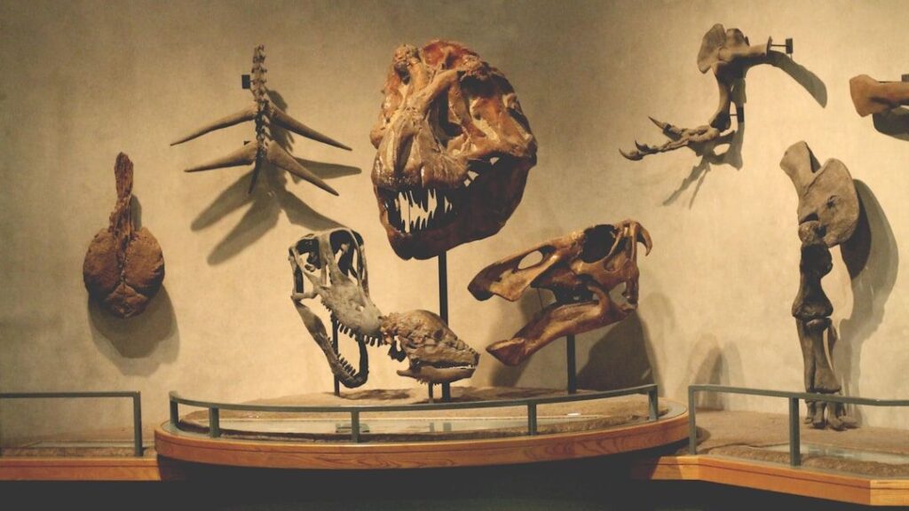 Everything You've Been Taught About Early American Dinosaurs Is Incomplete