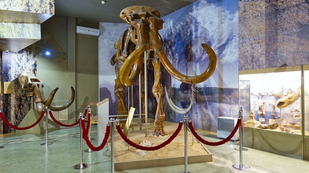 The Mammoth's Last Stand: New Insights into Ice Age Extinctions