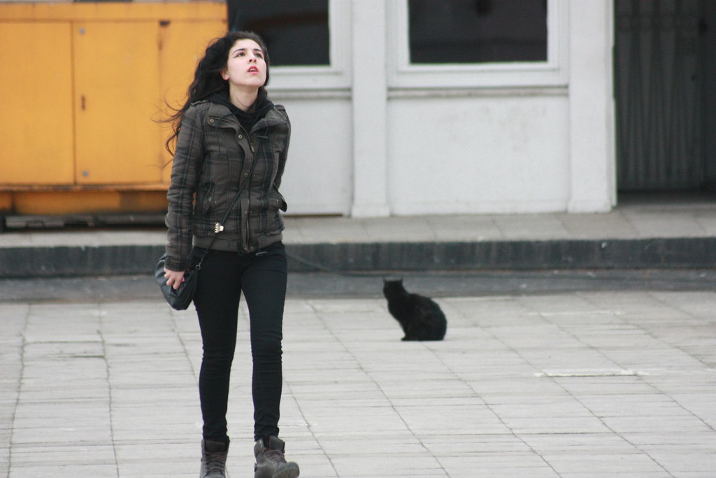 The Importance of Understanding Human Behaviour